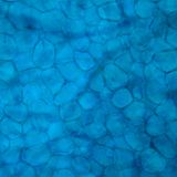 Fettzellen: Durchblutung wird gesteigert