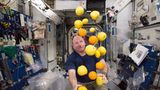 Weltraum-Obst