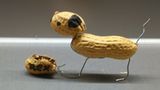 Lasst es krachen: Fotogalerie: Erdnuss-Kunst - Bild 3