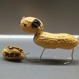 Lasst es krachen: Fotogalerie: Erdnuss-Kunst - Bild 3