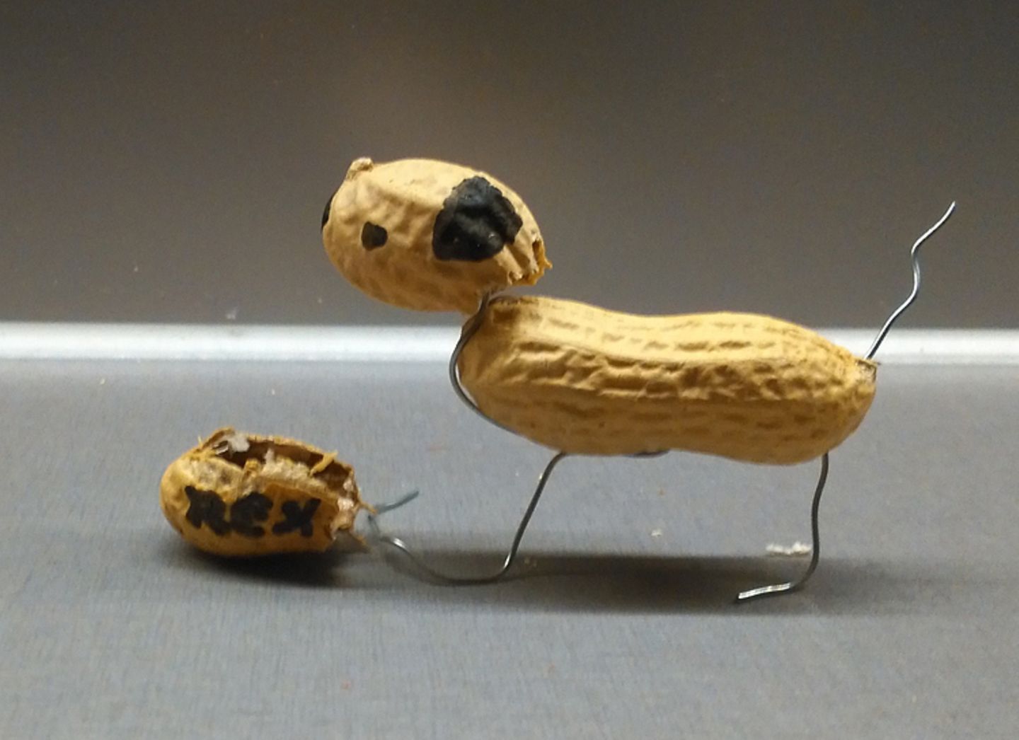 Lasst es krachen: Fotogalerie: Erdnuss-Kunst - Bild 3