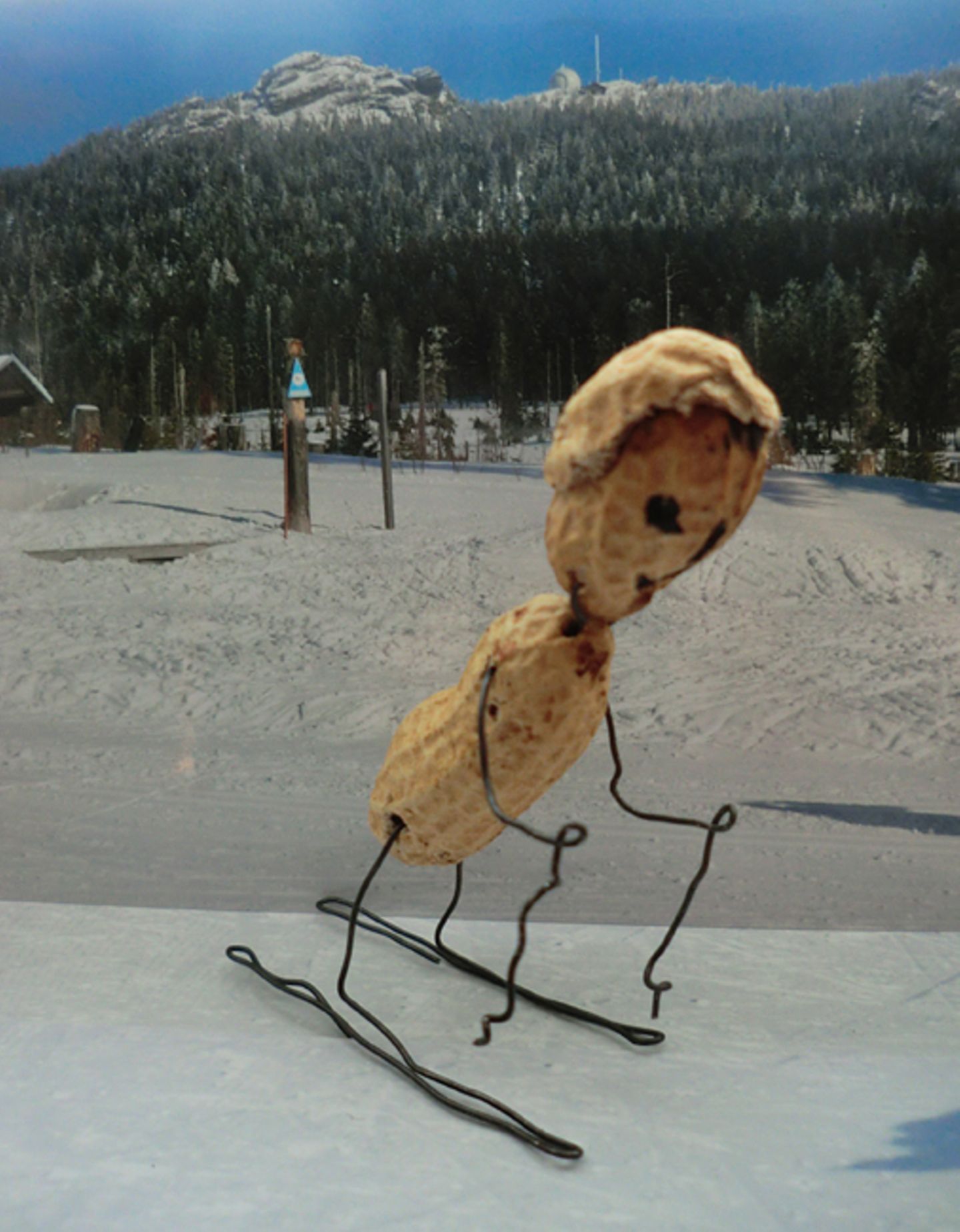 Lasst es krachen: Fotogalerie: Erdnuss-Kunst - Bild 8