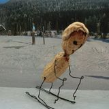 Lasst es krachen: Fotogalerie: Erdnuss-Kunst - Bild 8