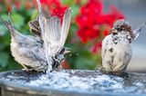 GEO Leserfoto: Die besten Leserfotos: April 2016 - Bild 2