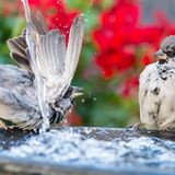 GEO Leserfoto: Die besten Leserfotos: April 2016 - Bild 2