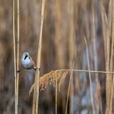 GEO Leserfoto: Die besten Leserfotos: April 2016 - Bild 5