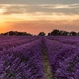 GEO Leserfoto: Die besten Leserfotos: April 2016 - Bild 7