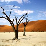 GEO Leserfoto: Die besten Leserfotos: April 2016 - Bild 8