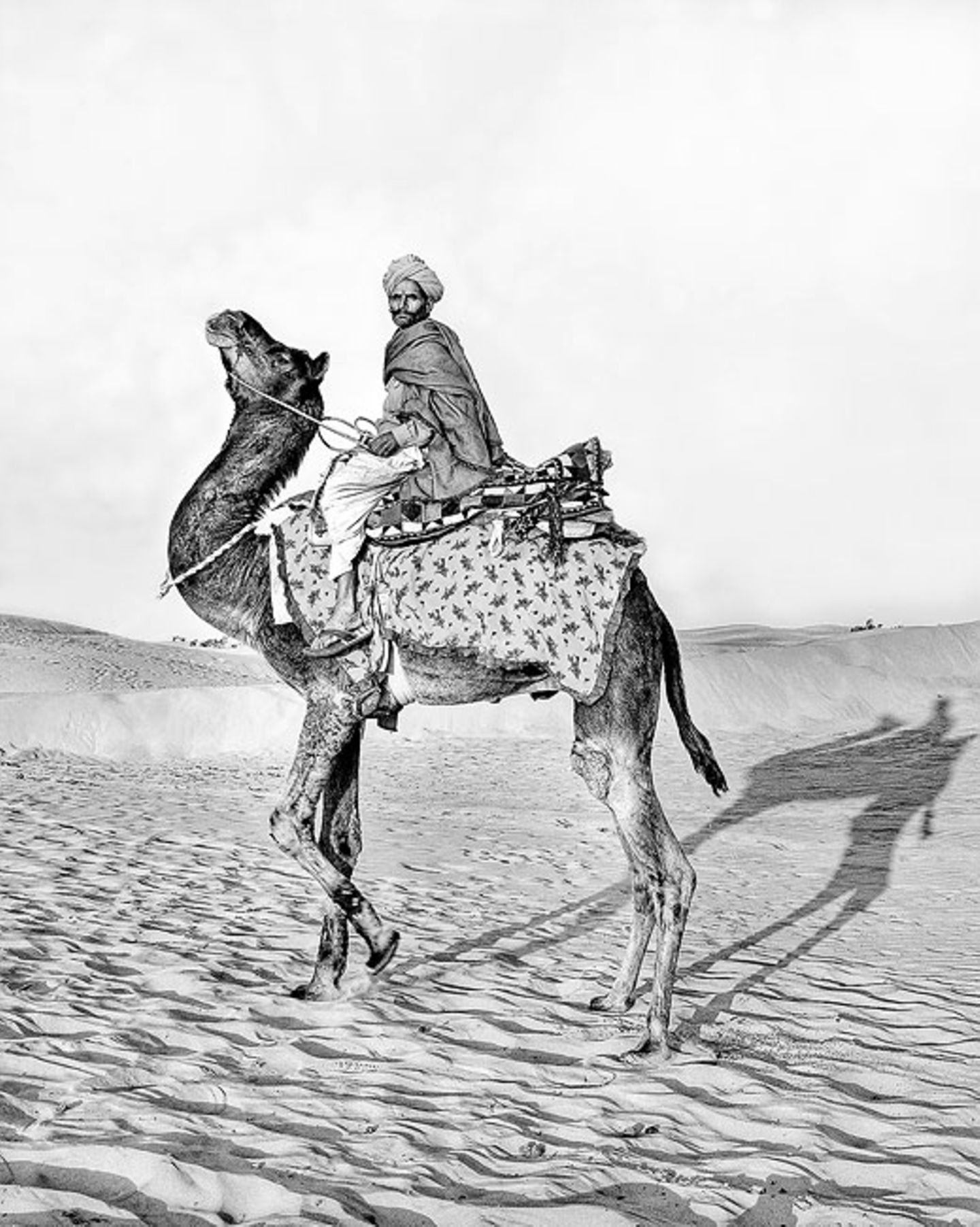 GEO Leserfoto: Die besten Leserfotos: April 2016 - Bild 13