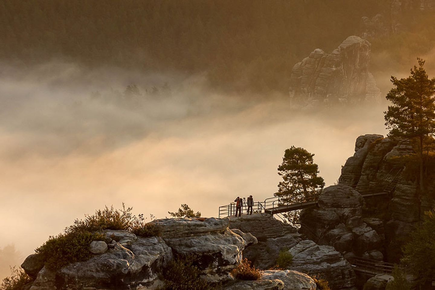 Herbst im Elbsandsteingebirge
