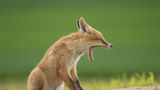 GEO Leserfoto: Die besten Leserfotos: April 2016 - Bild 16