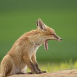 GEO Leserfoto: Die besten Leserfotos: April 2016 - Bild 16