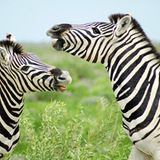 GEO Leserfoto: Die besten Leserfotos: April 2016 - Bild 19