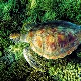 GEO Leserfoto: Die besten Leserfotos: Mai 2016 - Bild 14