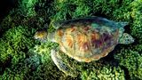 GEO Leserfoto: Die besten Leserfotos: Mai 2016 - Bild 14