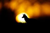 GEO Leserfoto: Die besten Leserfotos: Mai 2016 - Bild 16