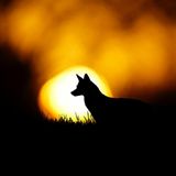 GEO Leserfoto: Die besten Leserfotos: Mai 2016 - Bild 16