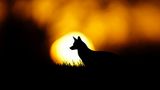 GEO Leserfoto: Die besten Leserfotos: Mai 2016 - Bild 16