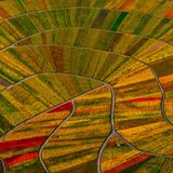 GEO Leserfoto: Die besten Leserfotos: Mai 2016 - Bild 17