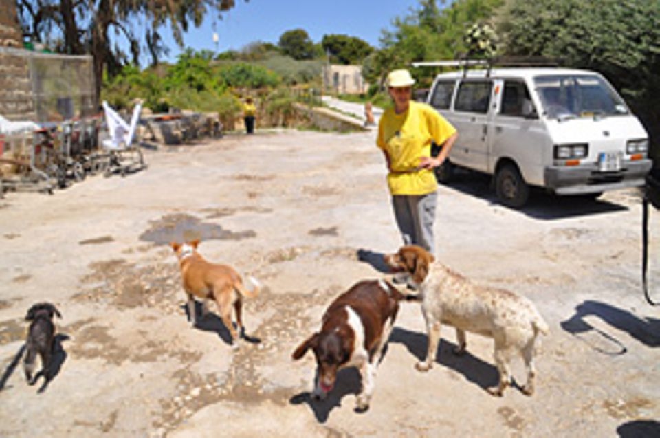 Claire Gafa lebt als freiwillige Tierschützerin auf Malta. Die 38-Jährige gab ihren Job auf, um sich herrenloser Hunde anzunehmen