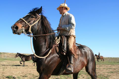 Die letzten Cowboys der Toskana