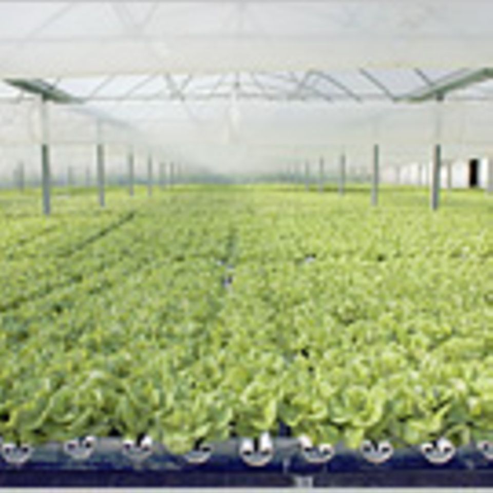 Lebensmittelproduktion: Wie klimafreundlich ist unsere Nahrung?