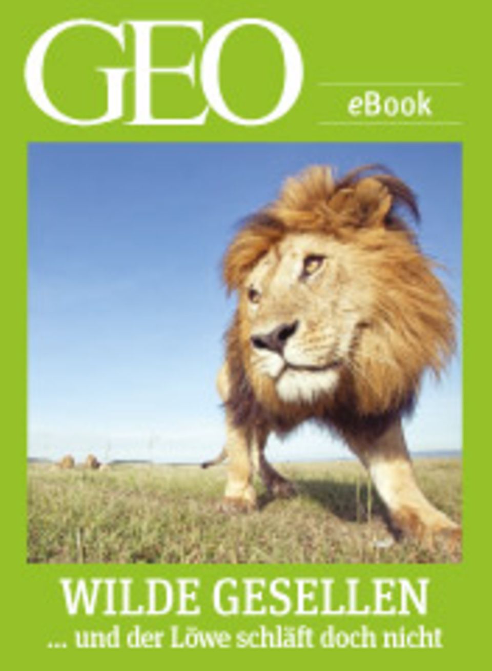 GEO-Expeditionen in die Welt der Tiere: GEO eBook "Wilde Gesellen"