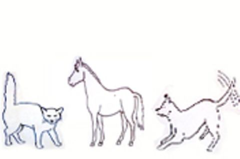 Die Sprache der Tiere