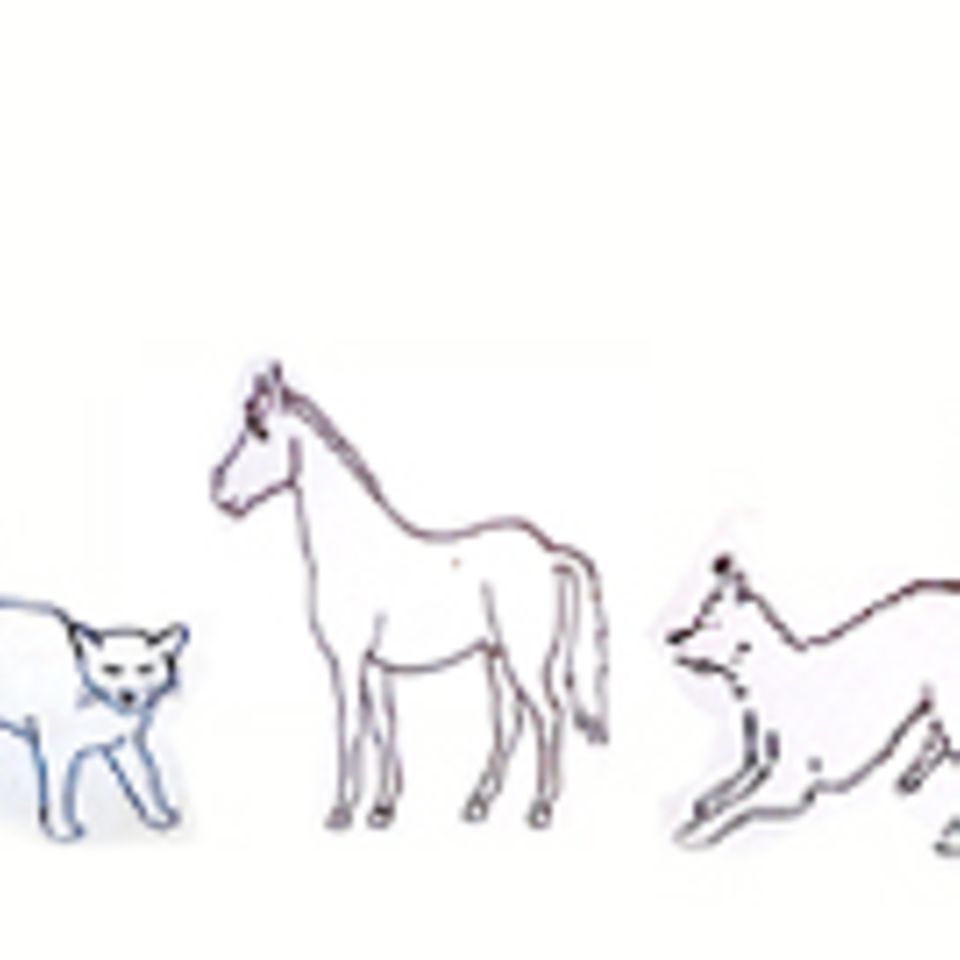Die Sprache der Tiere