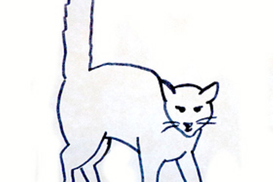 Achtung: Katzen nutzen ihren gesamten Körper als Verständigungsmittel Achtung: Katzen nutzen ihren gesamten Körper als Verständigungsmittel