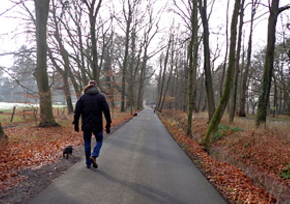 Beruf: Stundenlange Spaziergänge sind für Hund und Gassigeher Tim eine tolle Sache Beruf: Stundenlange Spaziergänge sind für Hund und Gassigeher Tim eine tolle Sache