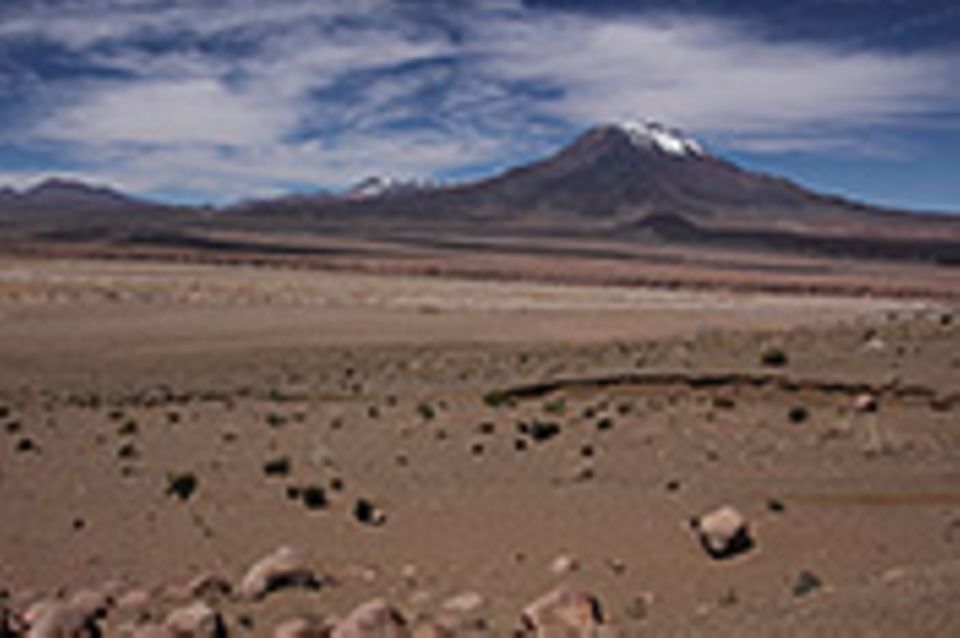 Atacamawüste – Leben ohne Wasser