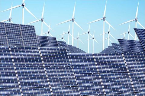 Umweltpolitik: Klimaschutz kontra Naturschutz