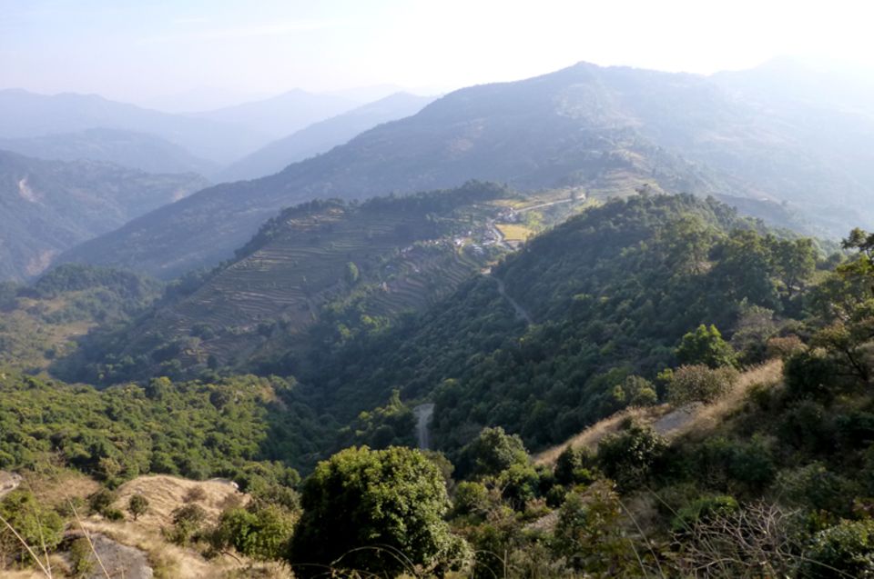 Bildergalerie: Die Abgeschiedenheit von Pasagaun und die relativ spärliche Bevölkerung tragen dazu bei, dass die Waldflächen nicht so schnell schwinden wie in anderen Teilen Nepals