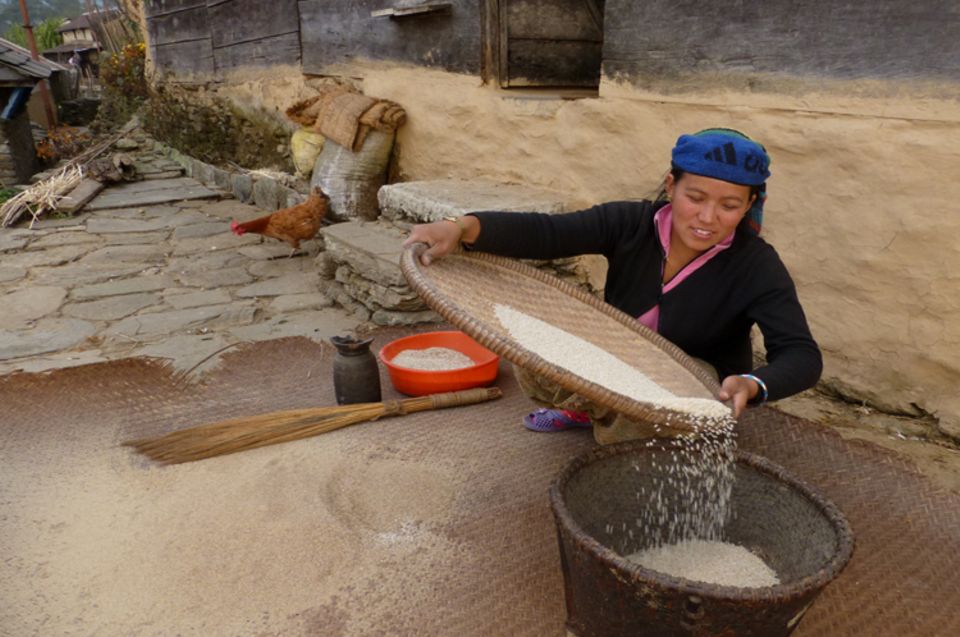 Bildergalerie: Diese Bewohnerin reinigt den geernteten Reis durch Sieben, befreit ihn so von der Spreu
