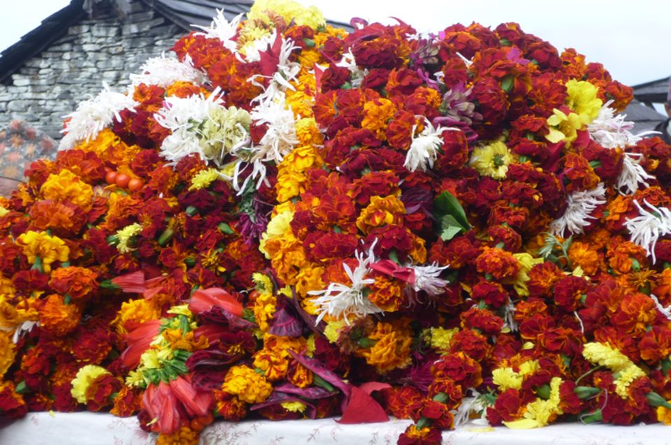 Bildergalerie: Ein Berg von Blumenketten: Gäste in Nepal werden traditionell mit Ketten bunter Blüten willkommen geheißen