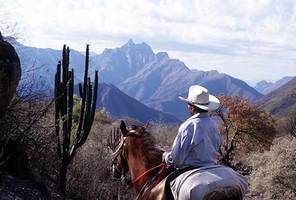 Pferde-Trekking in Mexiko Pferde-Trekking in Mexiko