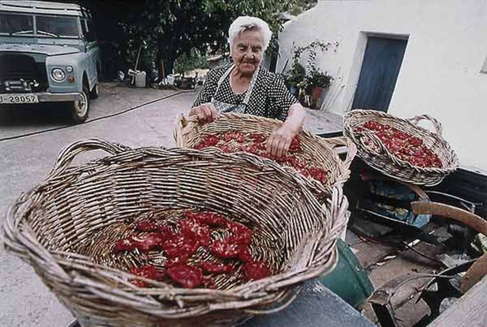 Reiche Ernte unter der Sonne: Doña Garcia aus dem Dorf La Capellania hat Tomaten getrocknet Reiche Ernte unter der Sonne: Doña Garcia aus dem Dorf La Capellania hat Tomaten getrocknet