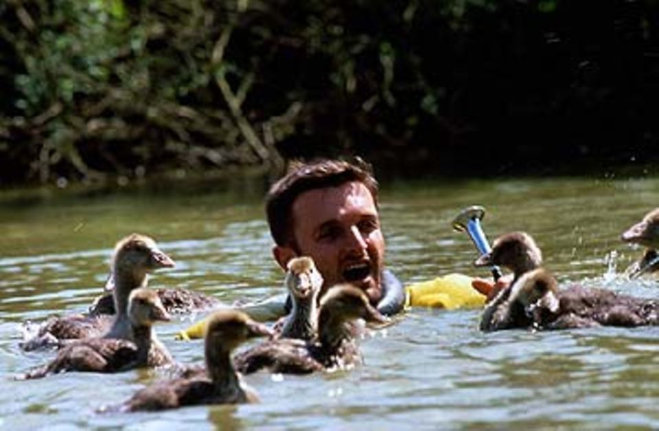 Galatée Films hat eine ornithologische Vogelschule eingerichtet, in der junge Biologen und Tierpfleger Enten, Schwäne und Gänse liebevoll aufziehen und ausbilden Galatée Films hat eine ornithologische Vogelschule eingerichtet, in der junge Biologen und Tierpfleger Enten, Schwäne und Gänse liebevoll aufziehen und ausbilden