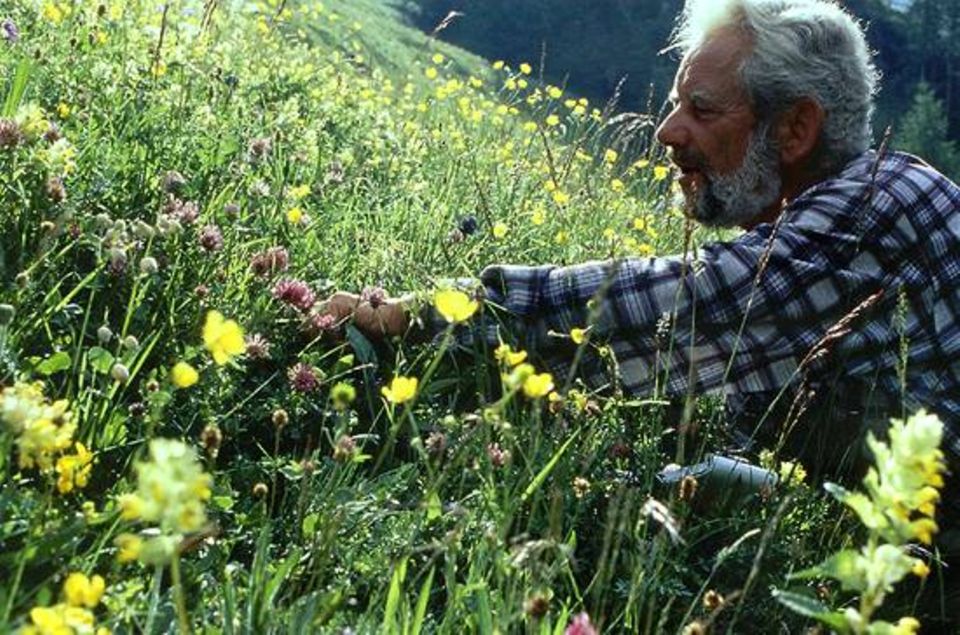 Auf einer Mähwiese der Alp Flix zählt Hans-Ulrich Hollenstein 30 Pflanzenarten im Zwei-Meter-Radius Auf einer Mähwiese der Alp Flix zählt Hans-Ulrich Hollenstein 30 Pflanzenarten im Zwei-Meter-Radius