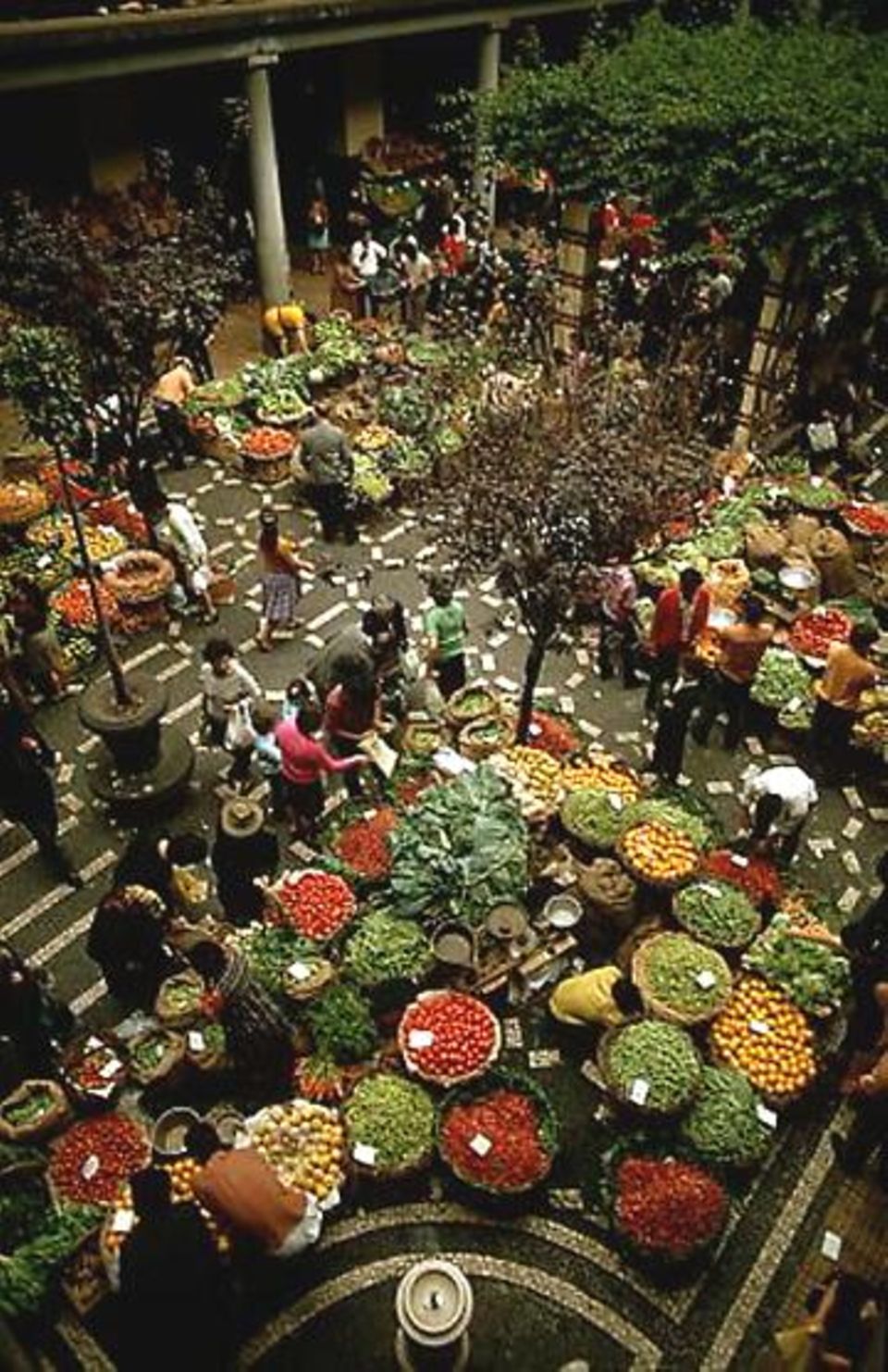 Samstag morgens kommen auf dem Markt in Funchal alle Sinne auf ihre Kosten Samstag morgens kommen auf dem Markt in Funchal alle Sinne auf ihre Kosten
