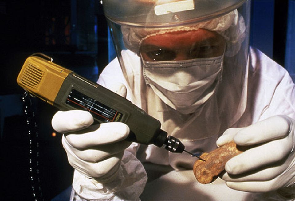 Fossile Knochen sind das Basismaterial für DNA-Analysen. Bei der Probenentnahme ist penible Sauberkeit oberstes Gebot: Kleinste Verunreinigungen machen sonst die Messergebnisse unbrauchbar Fossile Knochen sind das Basismaterial für DNA-Analysen. Bei der Probenentnahme ist penible Sauberkeit oberstes Gebot: Kleinste Verunreinigungen machen sonst die Messergebnisse unbrauchbar