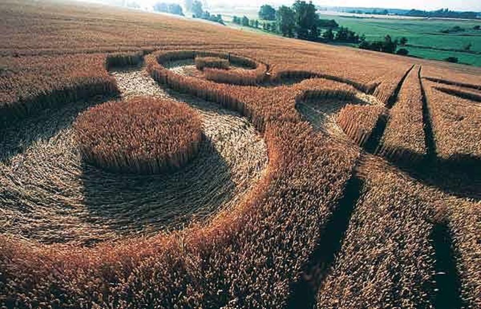 Aus der Luft zeigt sich das gesamte Ausmaß der kunstvollen Formation in einem Feld auf Rügen. Sie entstand im Juli 2001