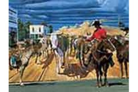 Murals: Wandgemälde in den USA