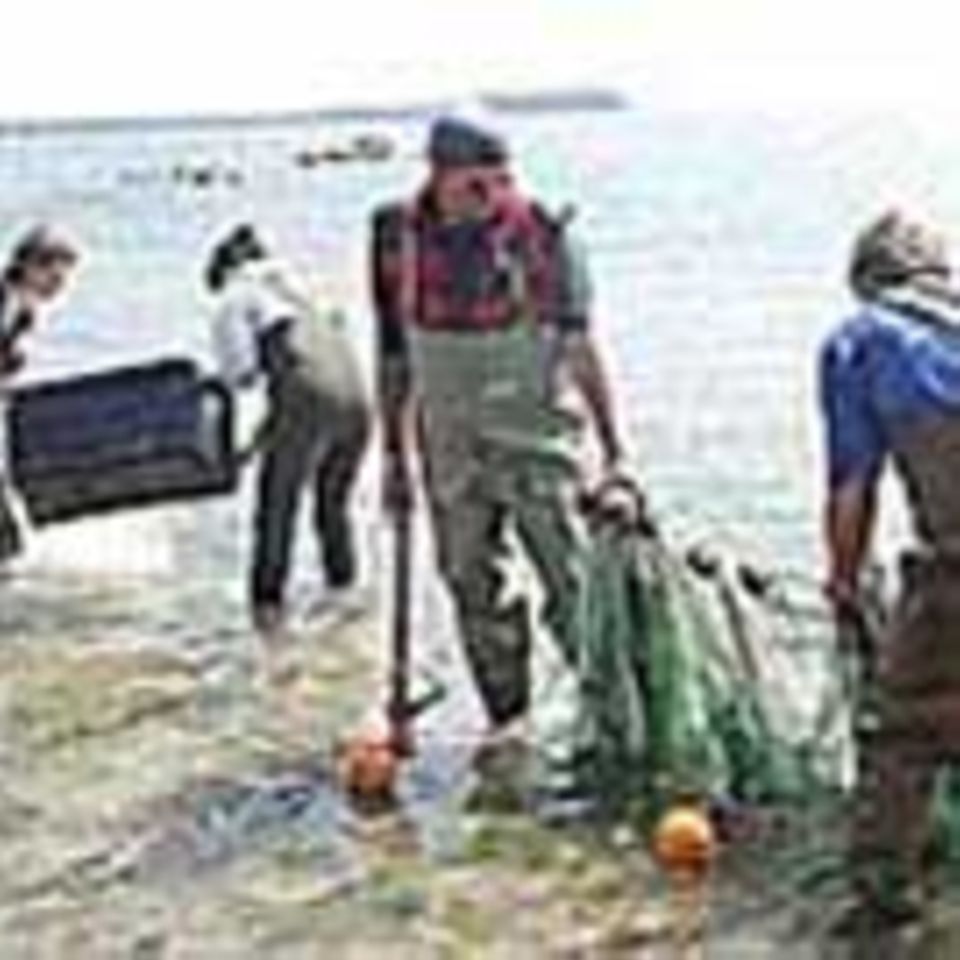 4. GEO-Tag der Artenvielfalt auf der Insel Vilm (Rügen)