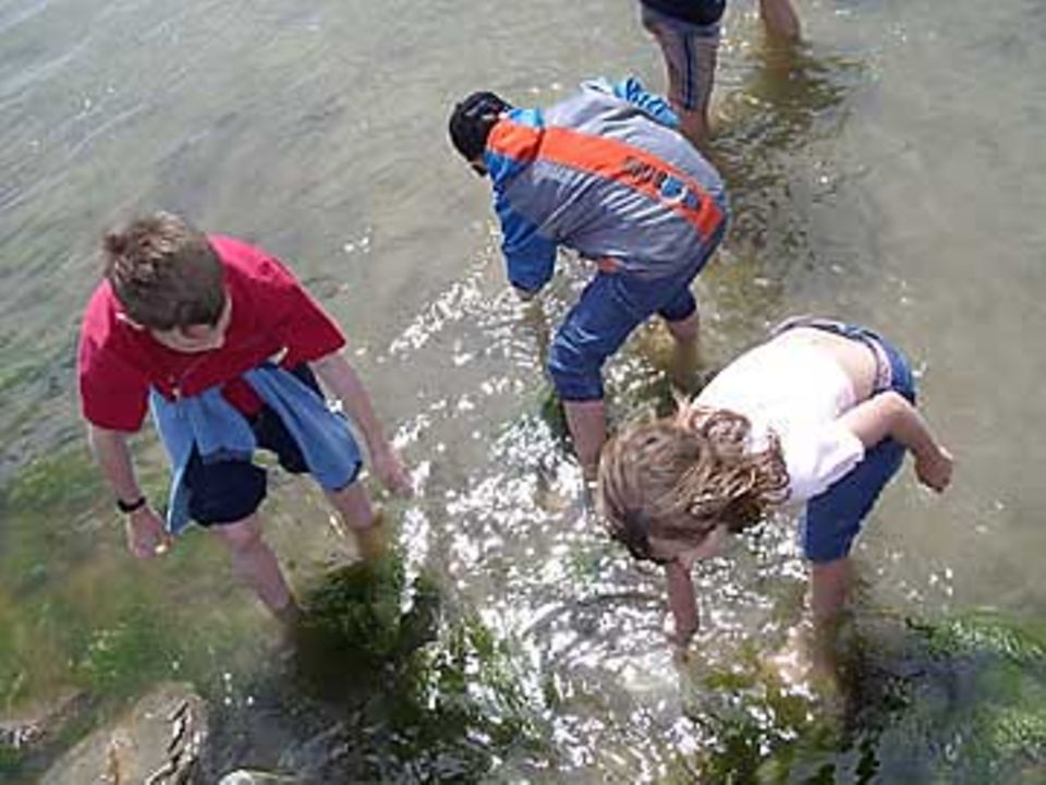 Im flachen Wasser machten sich Kinder auf die Jagd nach Fischen, Muscheln und Insektenlarven