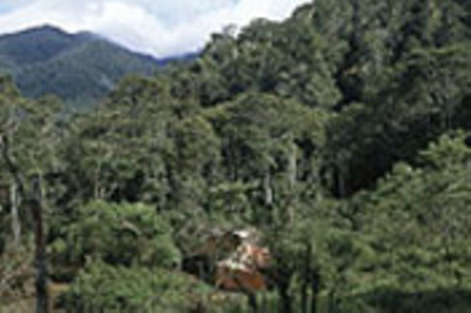 West-Papua: Schutz für die Urwälder