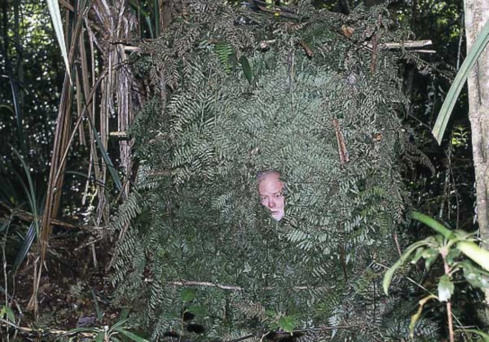 Expeditionsleiter Uwe George beobachtet Laubenvögel aus einem Versteck, das ihm Papuas aus den riesigen Blättern von Baumfarnen errichtet hatten. Expeditionsleiter Uwe George beobachtet Laubenvögel aus einem Versteck, das ihm Papuas aus den riesigen Blättern von Baumfarnen errichtet hatten.