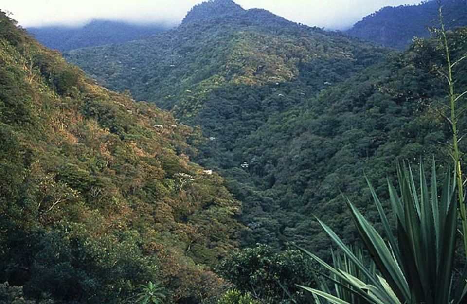Minenkonzessionen, Straßenbau und Erdölförderung bedrohen die letzten Regenwälder in den Anden - wie hier im Intag, drei Autostunden nördlich der Hauptstadt Quito.