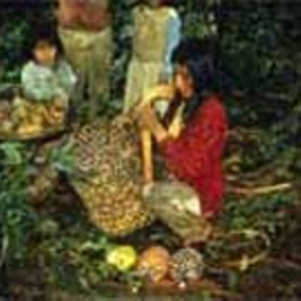 Kolumbien: Öl aus Milpeso-Palmen